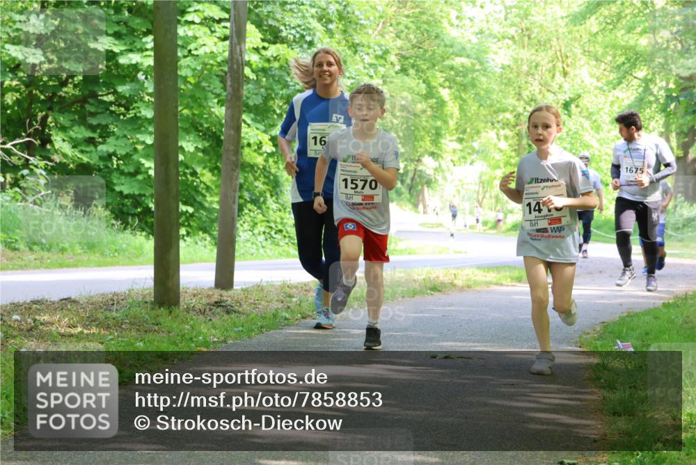17.05.2025 - Störlauf Strokosch-Dieckow http://msf.ph/oto/7858853 17.05.2025 14:55:40 Laufen 16, 1570, 14, 1675 meine-sportfotos.de