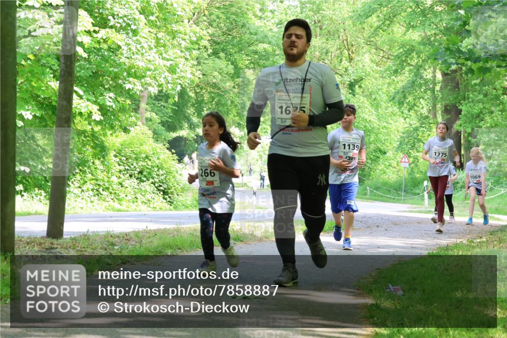 17.05.2025 - Störlauf Strokosch-Dieckow http://msf.ph/oto/7858887 17.05.2025 14:55:44 Laufen 266, 165, 1139, 1375, 1069 meine-sportfotos.de
