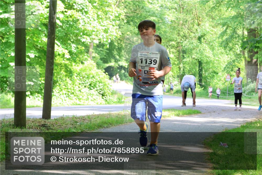 17.05.2025 - Störlauf Strokosch-Dieckow http://msf.ph/oto/7858895 17.05.2025 14:55:47 Laufen 2025, 1139, 1072, 10 meine-sportfotos.de