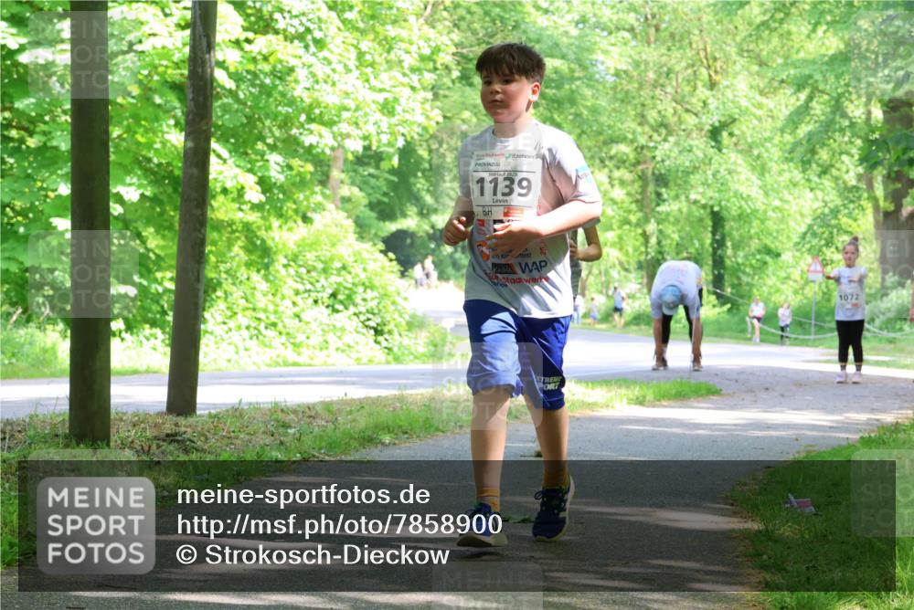 17.05.2025 - Störlauf Strokosch-Dieckow http://msf.ph/oto/7858900 17.05.2025 14:55:47 Laufen 2025, 1139, 1072 meine-sportfotos.de
