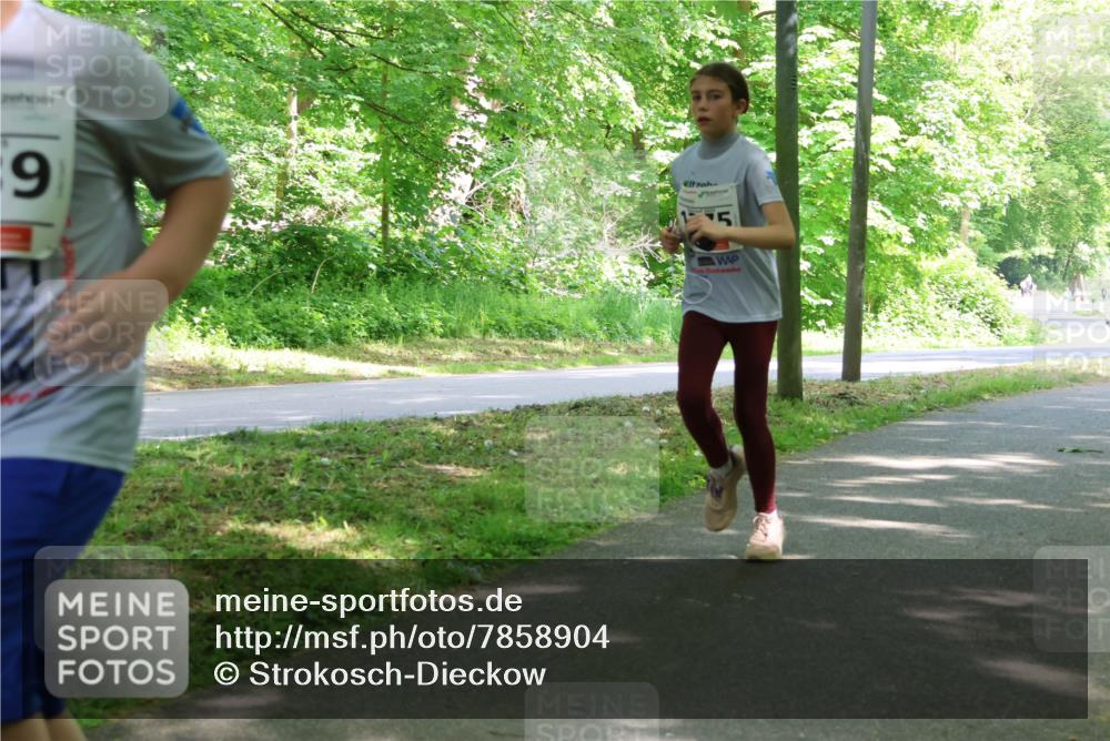 17.05.2025 - Störlauf Strokosch-Dieckow http://msf.ph/oto/7858904 17.05.2025 14:55:50 Laufen 9, 5 meine-sportfotos.de