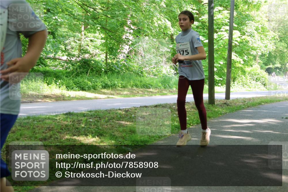 17.05.2025 - Störlauf Strokosch-Dieckow http://msf.ph/oto/7858908 17.05.2025 14:55:50 Laufen 1375 meine-sportfotos.de