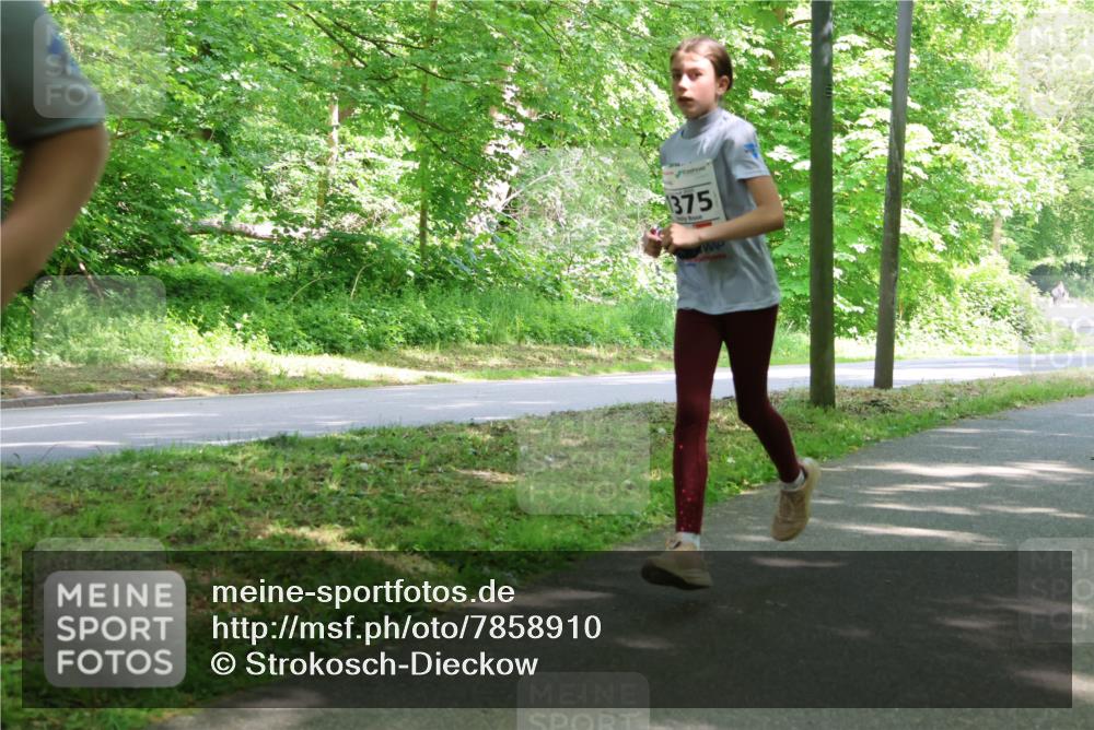 17.05.2025 - Störlauf Strokosch-Dieckow http://msf.ph/oto/7858910 17.05.2025 14:55:50 Laufen 1375 meine-sportfotos.de
