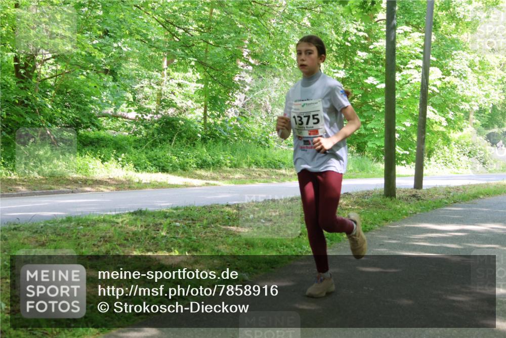 17.05.2025 - Störlauf Strokosch-Dieckow http://msf.ph/oto/7858916 17.05.2025 14:55:50 Laufen 1375 meine-sportfotos.de