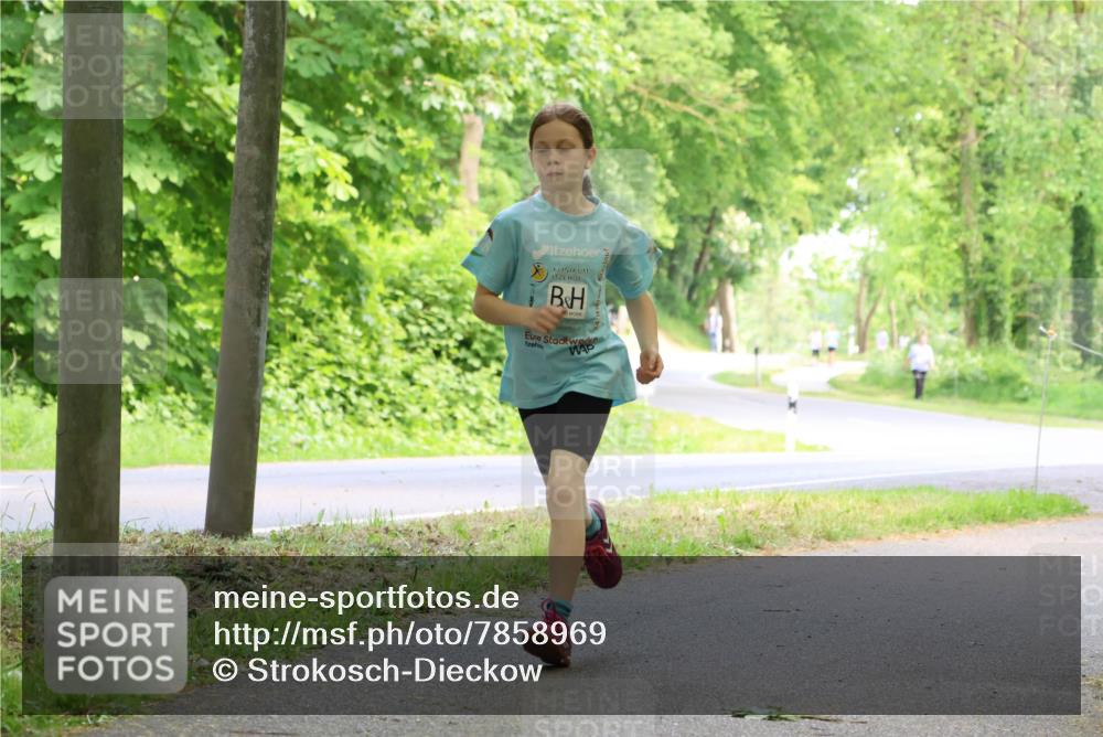 17.05.2025 - Störlauf Strokosch-Dieckow http://msf.ph/oto/7858969 17.05.2025 14:57:13 Laufen  meine-sportfotos.de