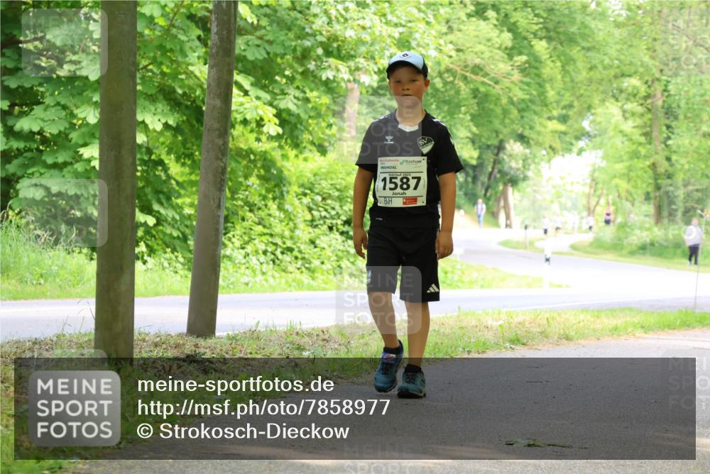 17.05.2025 - Störlauf Strokosch-Dieckow http://msf.ph/oto/7858977 17.05.2025 14:57:19 Laufen 1587 meine-sportfotos.de