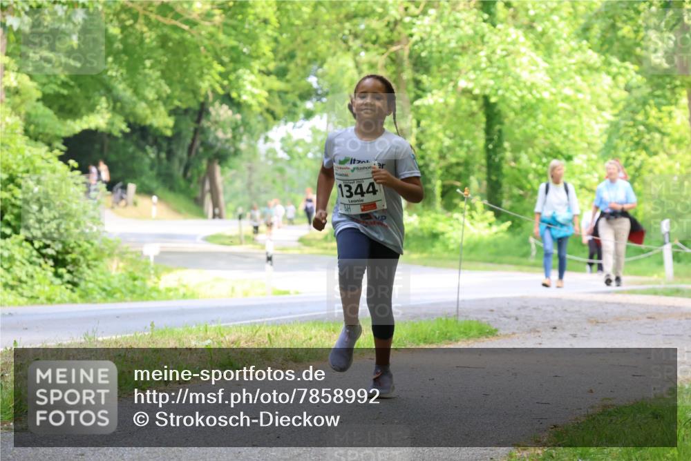 17.05.2025 - Störlauf Strokosch-Dieckow http://msf.ph/oto/7858992 17.05.2025 14:57:28 Laufen 2025, 1344 meine-sportfotos.de