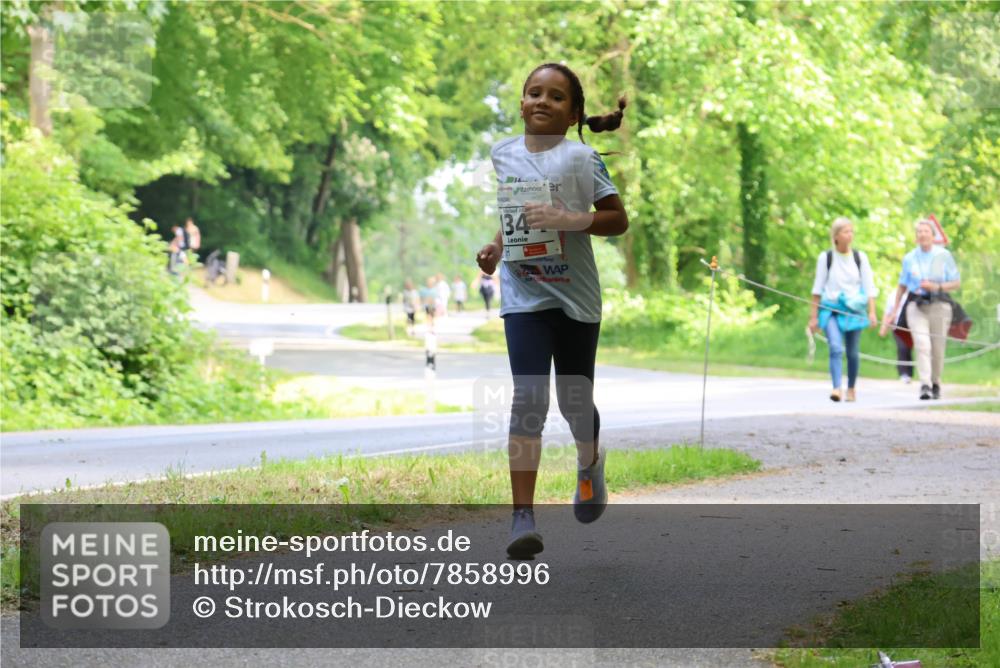 17.05.2025 - Störlauf Strokosch-Dieckow http://msf.ph/oto/7858996 17.05.2025 14:57:29 Laufen 134 meine-sportfotos.de