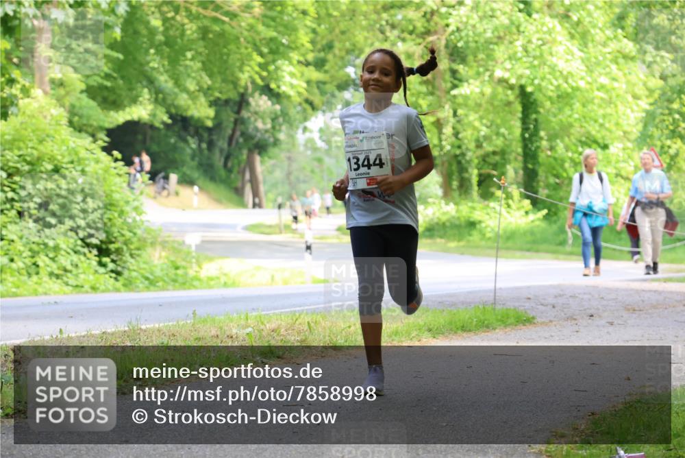 17.05.2025 - Störlauf Strokosch-Dieckow http://msf.ph/oto/7858998 17.05.2025 14:57:29 Laufen 1344 meine-sportfotos.de
