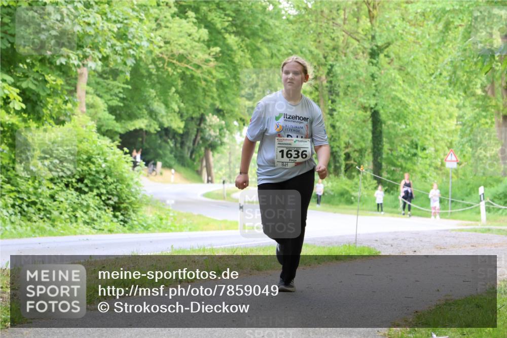17.05.2025 - Störlauf Strokosch-Dieckow http://msf.ph/oto/7859049 17.05.2025 14:58:06 Laufen 2025, 1636 meine-sportfotos.de