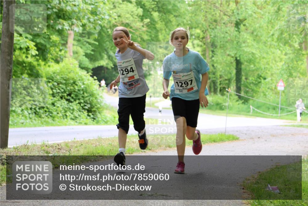 17.05.2025 - Störlauf Strokosch-Dieckow http://msf.ph/oto/7859060 17.05.2025 14:58:31 Laufen 2025, 1294, 1297 meine-sportfotos.de