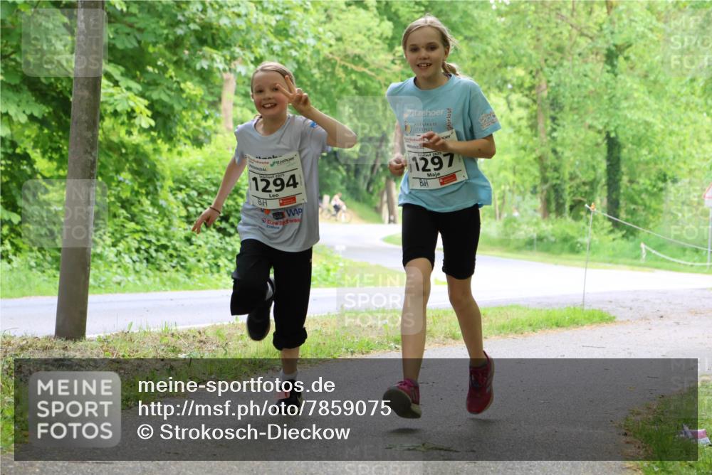 17.05.2025 - Störlauf Strokosch-Dieckow http://msf.ph/oto/7859075 17.05.2025 14:58:31 Laufen 2025, 1294, 1297 meine-sportfotos.de