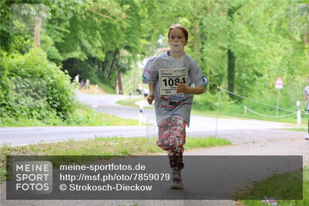 17.05.2025 - Störlauf Strokosch-Dieckow http://msf.ph/oto/7859079 17.05.2025 14:58:41 Laufen 2025, 1084 meine-sportfotos.de