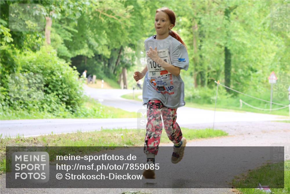 17.05.2025 - Störlauf Strokosch-Dieckow http://msf.ph/oto/7859085 17.05.2025 14:58:41 Laufen 10 meine-sportfotos.de