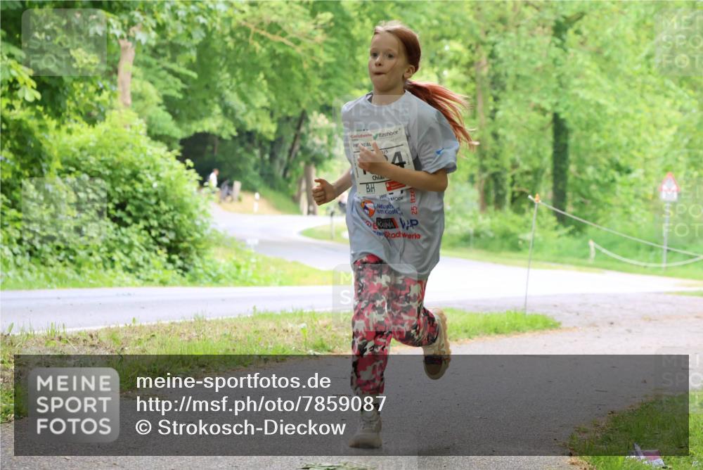 17.05.2025 - Störlauf Strokosch-Dieckow http://msf.ph/oto/7859087 17.05.2025 14:58:41 Laufen 4, 2, 5 meine-sportfotos.de
