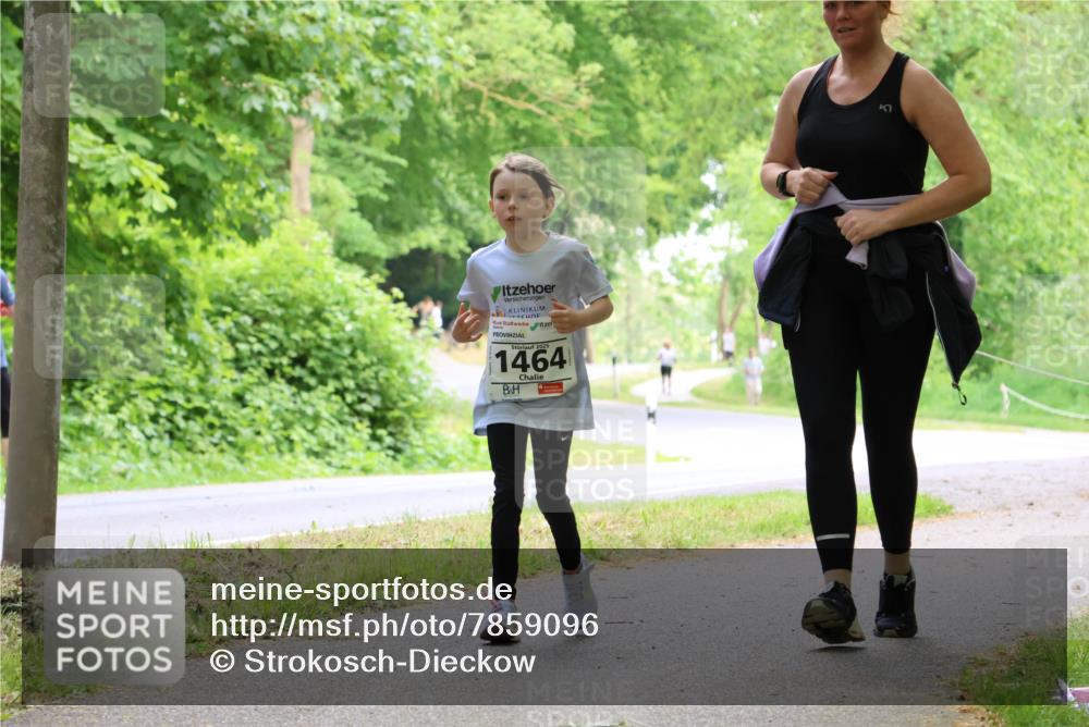 17.05.2025 - Störlauf Strokosch-Dieckow http://msf.ph/oto/7859096 17.05.2025 14:58:47 Laufen 2025, 1464 meine-sportfotos.de