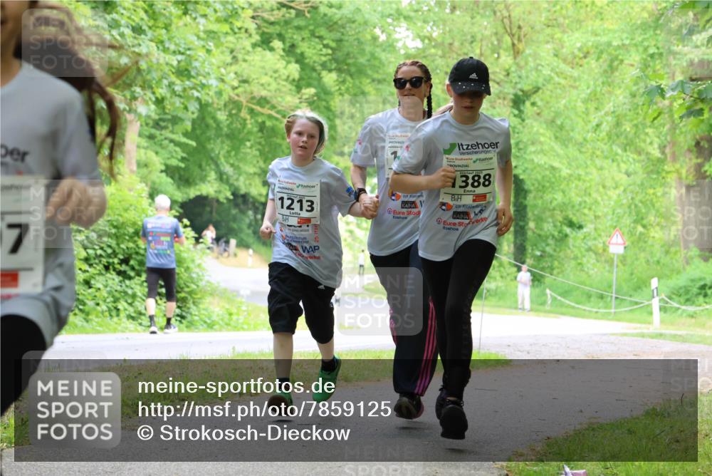 17.05.2025 - Störlauf Strokosch-Dieckow http://msf.ph/oto/7859125 17.05.2025 14:58:56 Laufen 7, 1213, 25, 2025, 388 meine-sportfotos.de