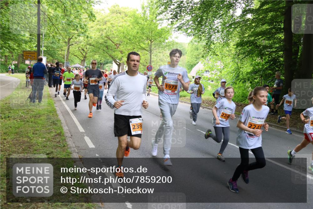 17.05.2025 - Störlauf Strokosch-Dieckow http://msf.ph/oto/7859200 17.05.2025 15:01:17 Laufen 239, 1973, 2240, 2241 meine-sportfotos.de