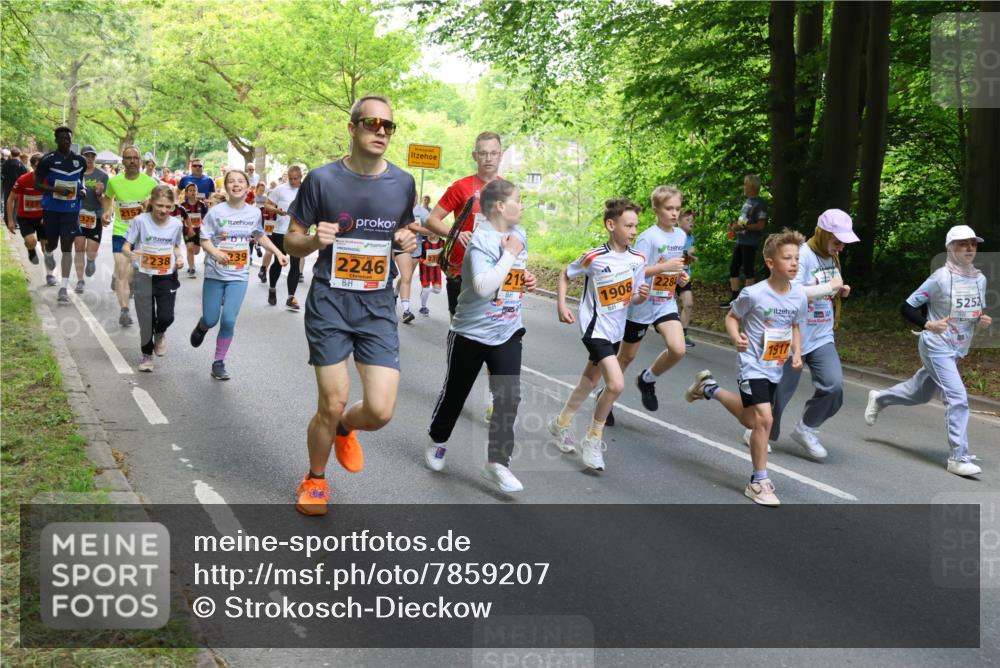17.05.2025 - Störlauf Strokosch-Dieckow http://msf.ph/oto/7859207 17.05.2025 15:01:18 Laufen 325, 2157, 2238, 157, 239, 2246, 219, 1908, 2284, 1917, 5252 meine-sportfotos.de