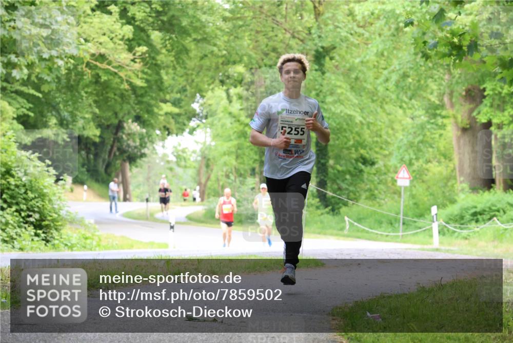 17.05.2025 - Störlauf Strokosch-Dieckow http://msf.ph/oto/7859502 17.05.2025 15:19:04 Laufen 5255 meine-sportfotos.de