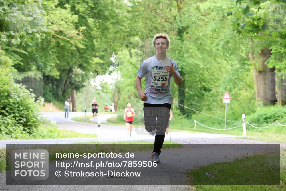 17.05.2025 - Störlauf Strokosch-Dieckow http://msf.ph/oto/7859506 17.05.2025 15:19:04 Laufen 5255 meine-sportfotos.de