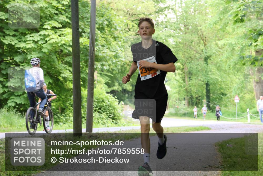 17.05.2025 - Störlauf Strokosch-Dieckow http://msf.ph/oto/7859558 17.05.2025 15:20:10 Laufen 230 meine-sportfotos.de