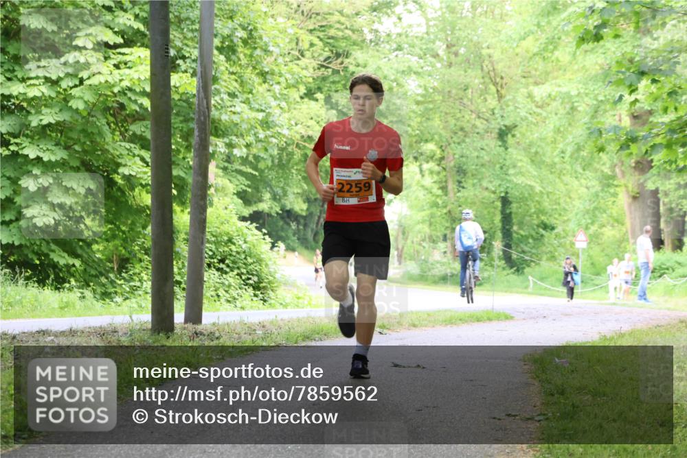17.05.2025 - Störlauf Strokosch-Dieckow http://msf.ph/oto/7859562 17.05.2025 15:20:17 Laufen 2259 meine-sportfotos.de