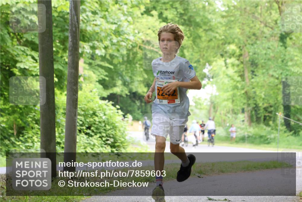 17.05.2025 - Störlauf Strokosch-Dieckow http://msf.ph/oto/7859603 17.05.2025 15:20:37 Laufen  meine-sportfotos.de