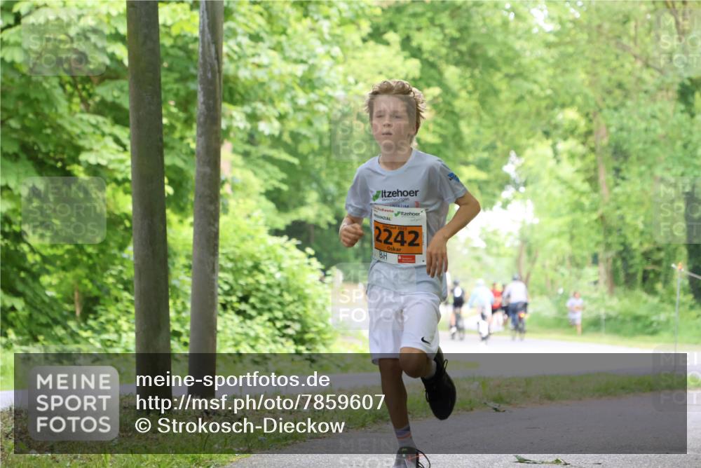 17.05.2025 - Störlauf Strokosch-Dieckow http://msf.ph/oto/7859607 17.05.2025 15:20:37 Laufen 2025, 2242 meine-sportfotos.de