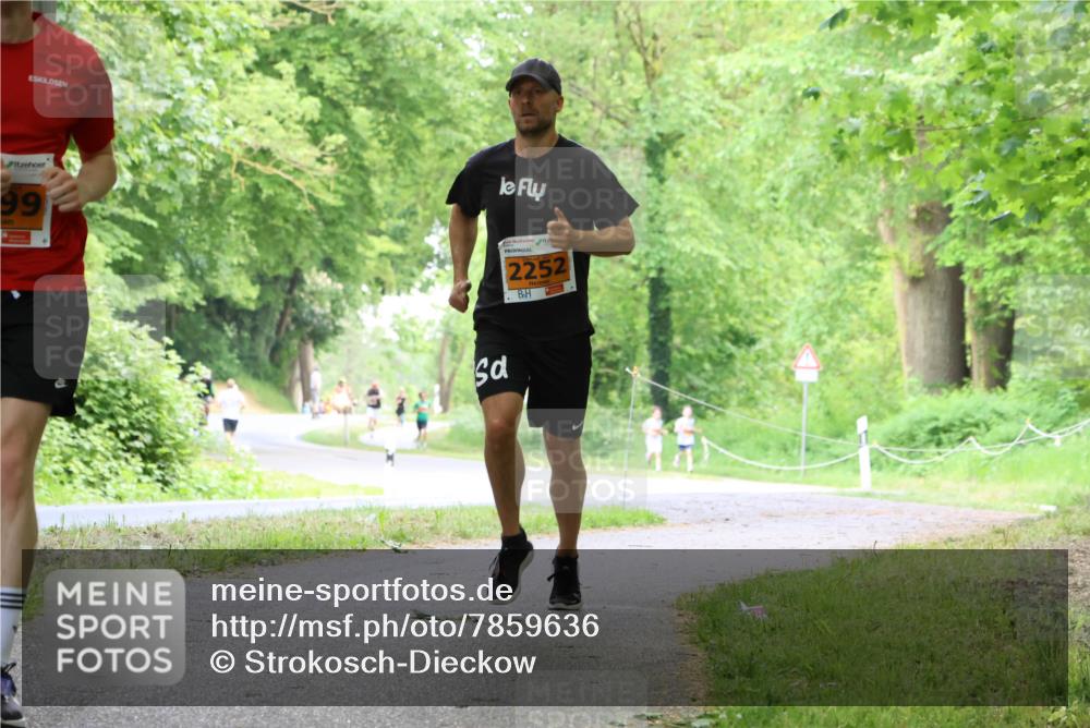 17.05.2025 - Störlauf Strokosch-Dieckow http://msf.ph/oto/7859636 17.05.2025 15:21:10 Laufen 99, 2252 meine-sportfotos.de