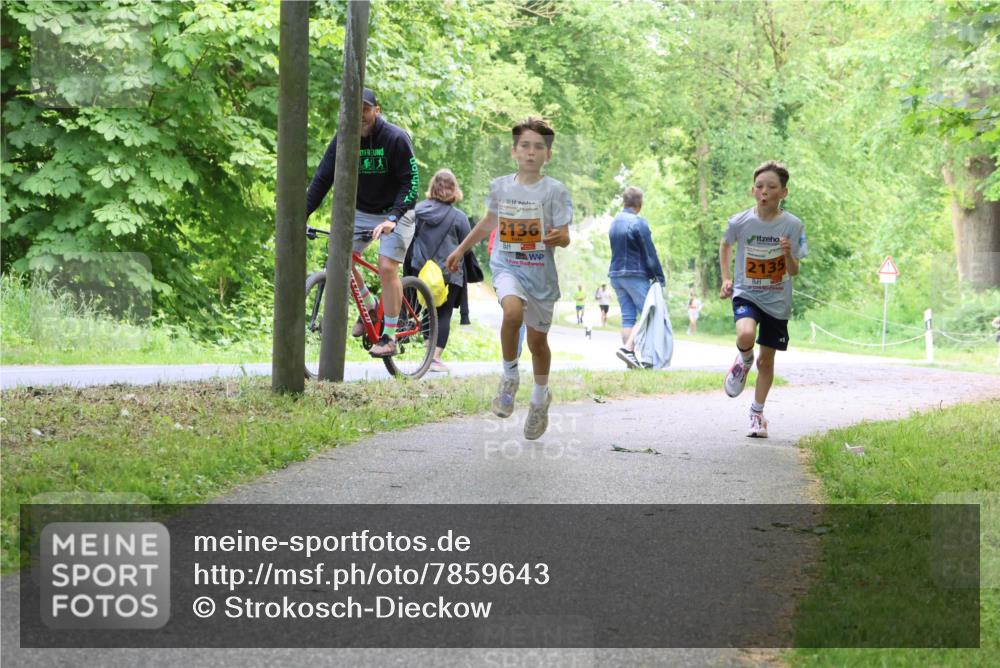 17.05.2025 - Störlauf Strokosch-Dieckow http://msf.ph/oto/7859643 17.05.2025 15:21:32 Laufen 2136, 2135 meine-sportfotos.de