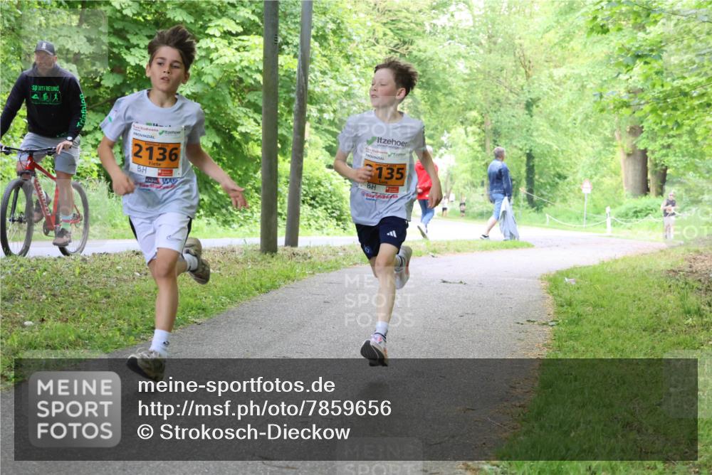 17.05.2025 - Störlauf Strokosch-Dieckow http://msf.ph/oto/7859656 17.05.2025 15:21:34 Laufen 2136, 135 meine-sportfotos.de