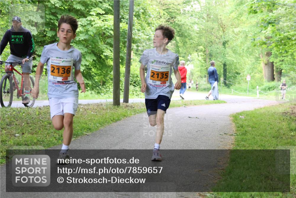 17.05.2025 - Störlauf Strokosch-Dieckow http://msf.ph/oto/7859657 17.05.2025 15:21:34 Laufen 4, 4, 2025, 2136, 2135 meine-sportfotos.de