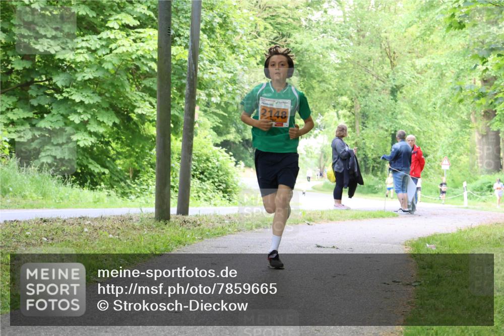 17.05.2025 - Störlauf Strokosch-Dieckow http://msf.ph/oto/7859665 17.05.2025 15:21:42 Laufen 2148 meine-sportfotos.de
