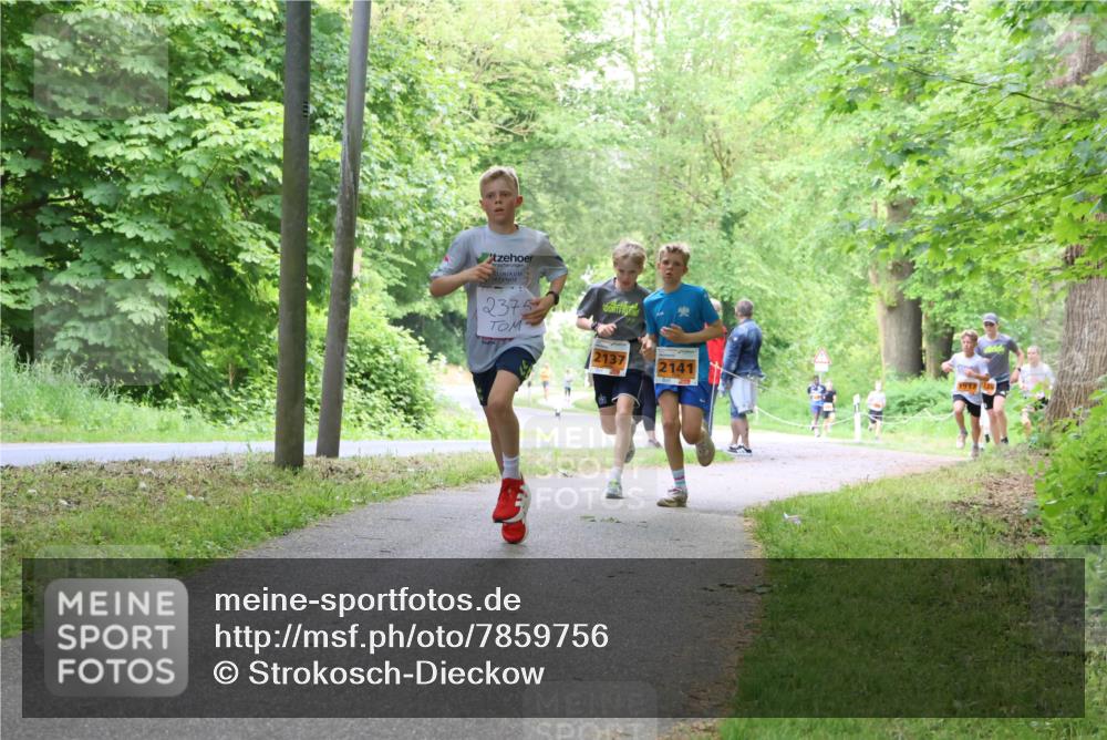 17.05.2025 - Störlauf Strokosch-Dieckow http://msf.ph/oto/7859756 17.05.2025 15:22:29 Laufen 2375, 2137, 2141, 1917 meine-sportfotos.de