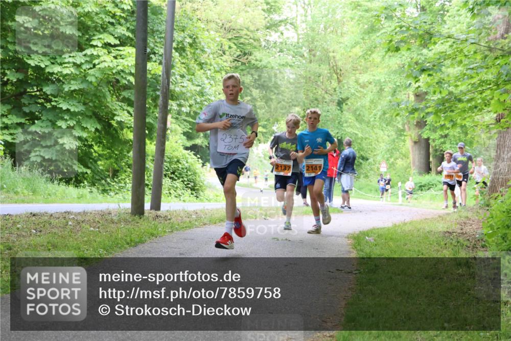 17.05.2025 - Störlauf Strokosch-Dieckow http://msf.ph/oto/7859758 17.05.2025 15:22:29 Laufen 2375, 2137, 2141 meine-sportfotos.de