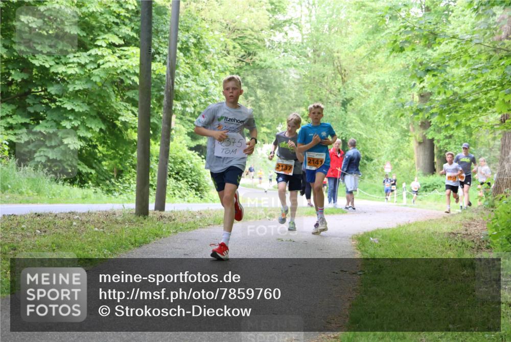 17.05.2025 - Störlauf Strokosch-Dieckow http://msf.ph/oto/7859760 17.05.2025 15:22:29 Laufen 375, 2137, 2141 meine-sportfotos.de