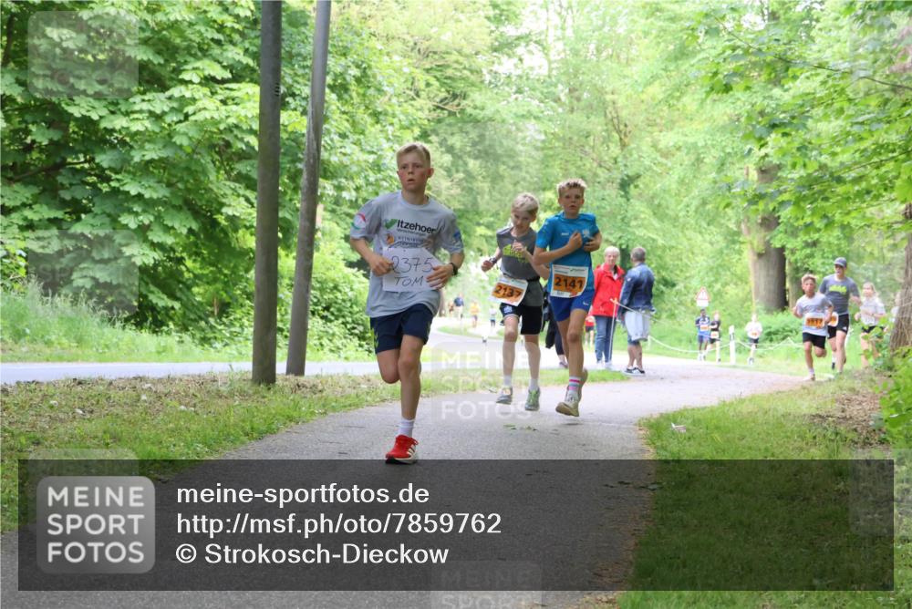 17.05.2025 - Störlauf Strokosch-Dieckow http://msf.ph/oto/7859762 17.05.2025 15:22:29 Laufen 2375, 2141, 2137, 1917 meine-sportfotos.de