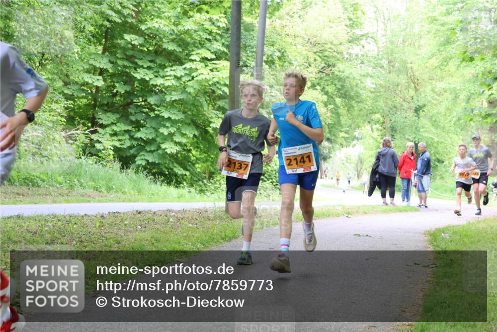 17.05.2025 - Störlauf Strokosch-Dieckow http://msf.ph/oto/7859773 17.05.2025 15:22:31 Laufen 2137, 2141, 19725 meine-sportfotos.de
