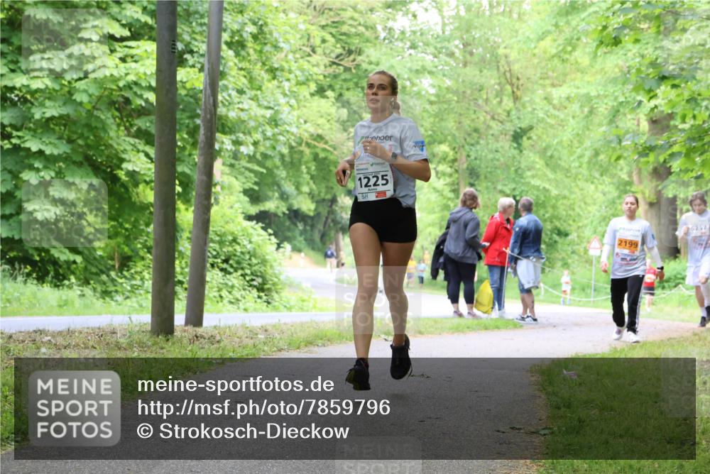 17.05.2025 - Störlauf Strokosch-Dieckow http://msf.ph/oto/7859796 17.05.2025 15:22:38 Laufen 1225, 2199, 25257 meine-sportfotos.de