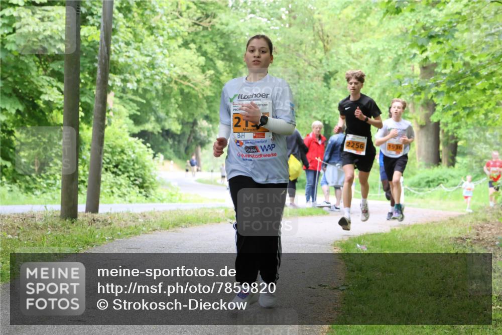 17.05.2025 - Störlauf Strokosch-Dieckow http://msf.ph/oto/7859820 17.05.2025 15:22:46 Laufen 2, 2256, 1936 meine-sportfotos.de
