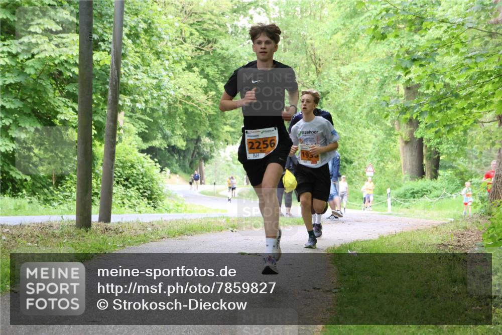 17.05.2025 - Störlauf Strokosch-Dieckow http://msf.ph/oto/7859827 17.05.2025 15:22:48 Laufen 2256, 193 meine-sportfotos.de