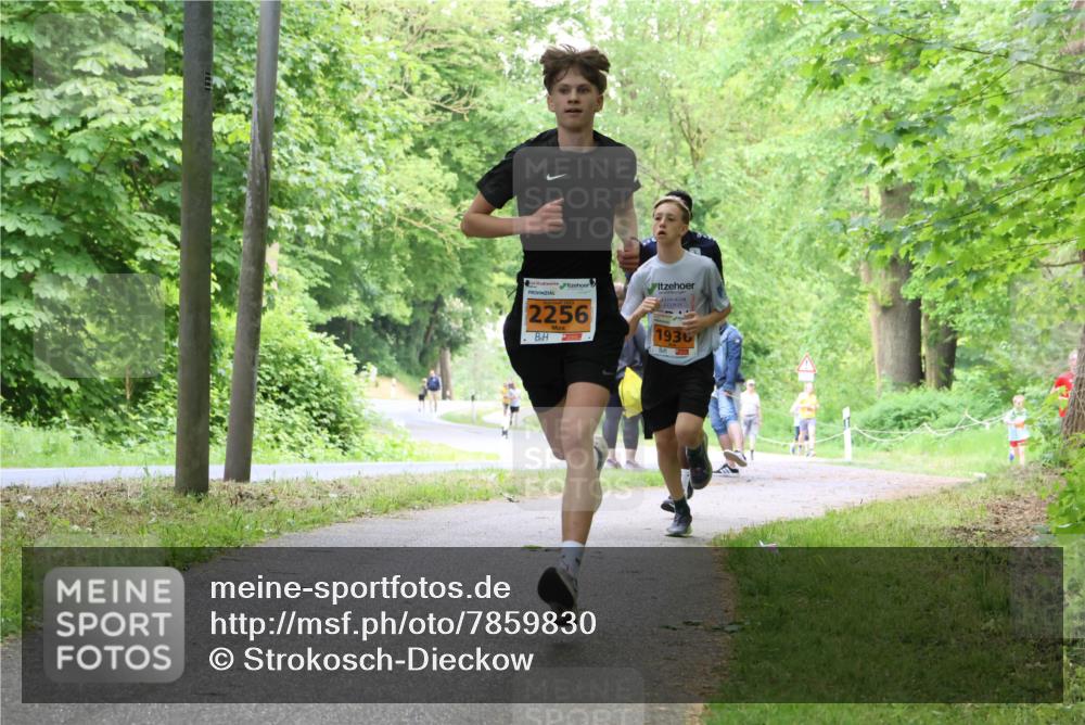 17.05.2025 - Störlauf Strokosch-Dieckow http://msf.ph/oto/7859830 17.05.2025 15:22:49 Laufen 2256, 12, 1936 meine-sportfotos.de