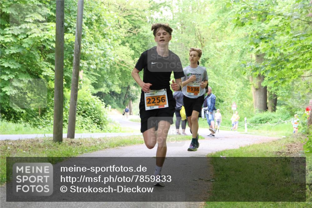 17.05.2025 - Störlauf Strokosch-Dieckow http://msf.ph/oto/7859833 17.05.2025 15:22:49 Laufen 2256, 1936 meine-sportfotos.de