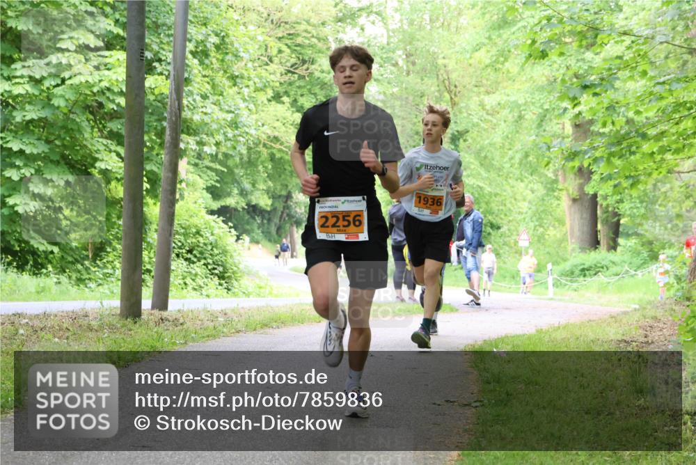 17.05.2025 - Störlauf Strokosch-Dieckow http://msf.ph/oto/7859836 17.05.2025 15:22:49 Laufen 2256, 1936 meine-sportfotos.de