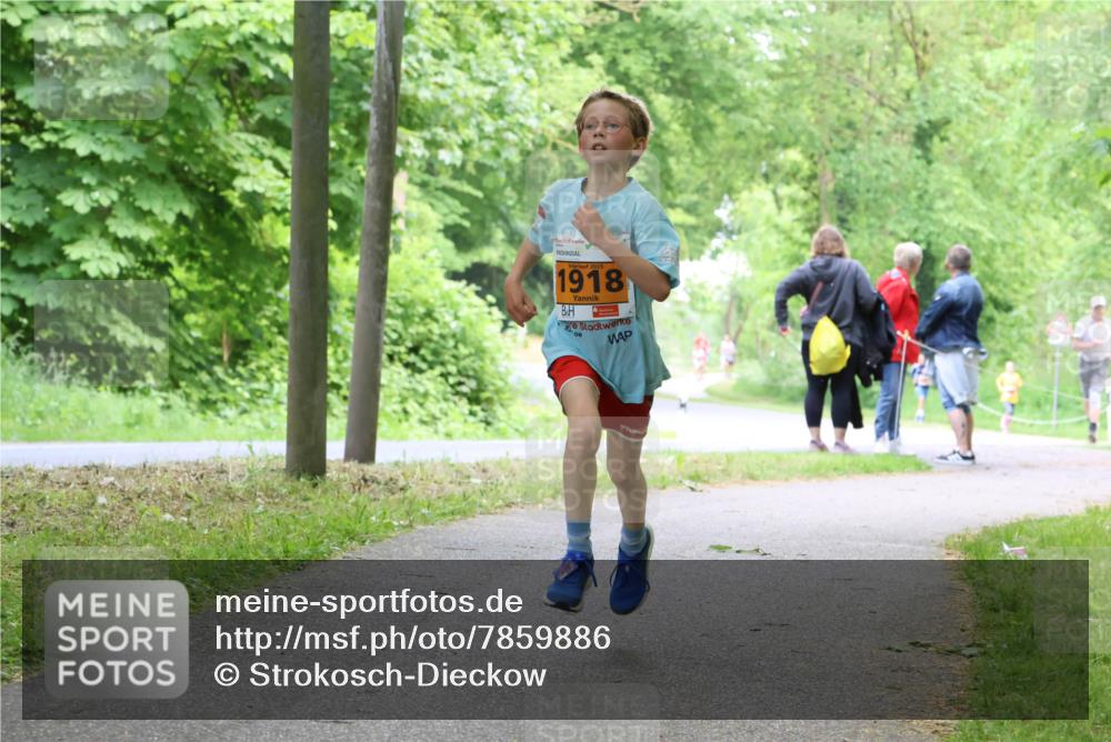 17.05.2025 - Störlauf Strokosch-Dieckow http://msf.ph/oto/7859886 17.05.2025 15:23:03 Laufen 2025, 1918 meine-sportfotos.de