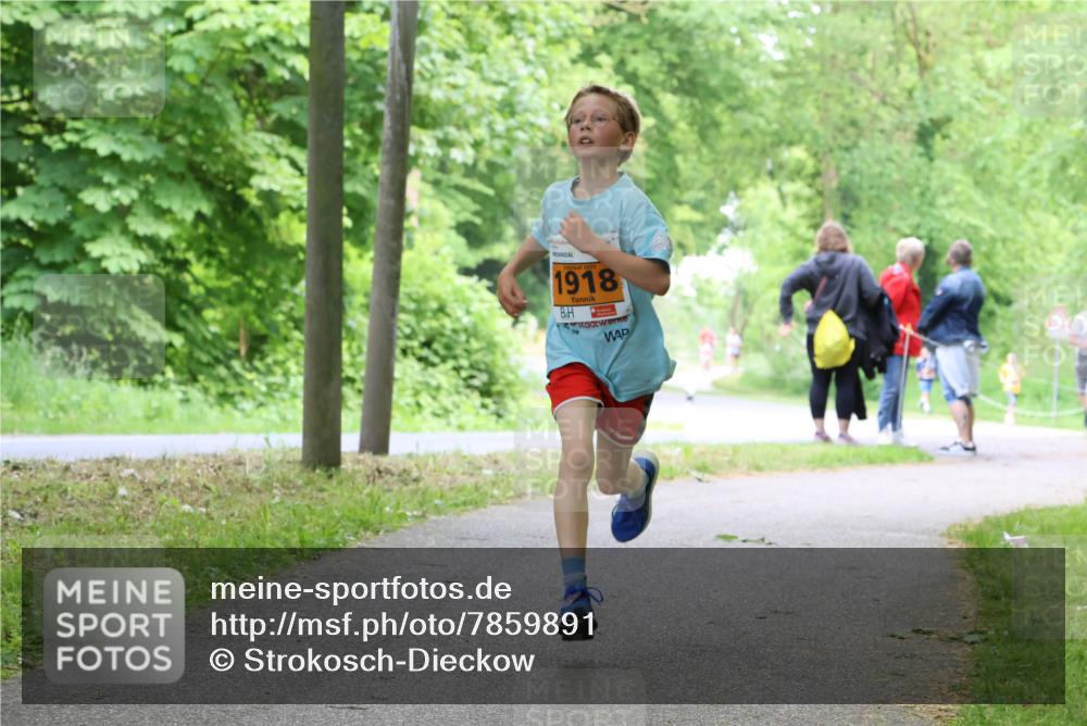 17.05.2025 - Störlauf Strokosch-Dieckow http://msf.ph/oto/7859891 17.05.2025 15:23:03 Laufen 2025, 1918 meine-sportfotos.de