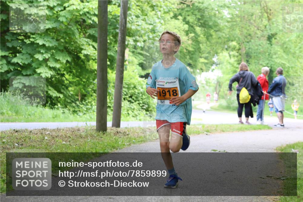 17.05.2025 - Störlauf Strokosch-Dieckow http://msf.ph/oto/7859899 17.05.2025 15:23:03 Laufen 2025, 1918 meine-sportfotos.de