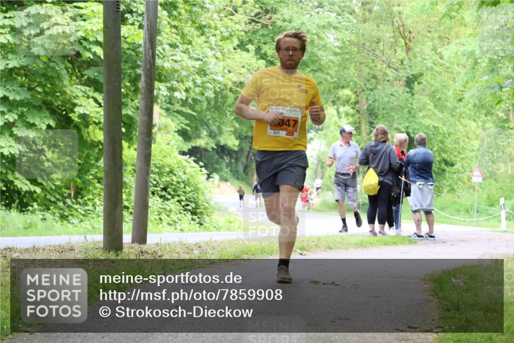 17.05.2025 - Störlauf Strokosch-Dieckow http://msf.ph/oto/7859908 17.05.2025 15:23:11 Laufen 47 meine-sportfotos.de
