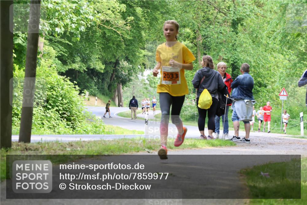 17.05.2025 - Störlauf Strokosch-Dieckow http://msf.ph/oto/7859977 17.05.2025 15:23:24 Laufen 2033 meine-sportfotos.de